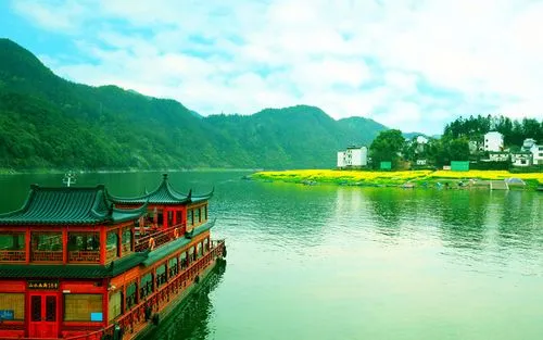 创新创新网络化